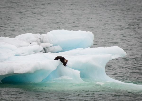 Alaska