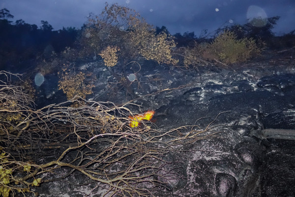Lava, live lava at last!